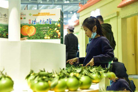 2021農(nóng)博會(huì)展臺布置